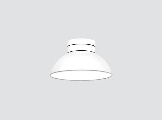 F311MSS F311MSS