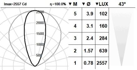 131VCT.8.01-I1479