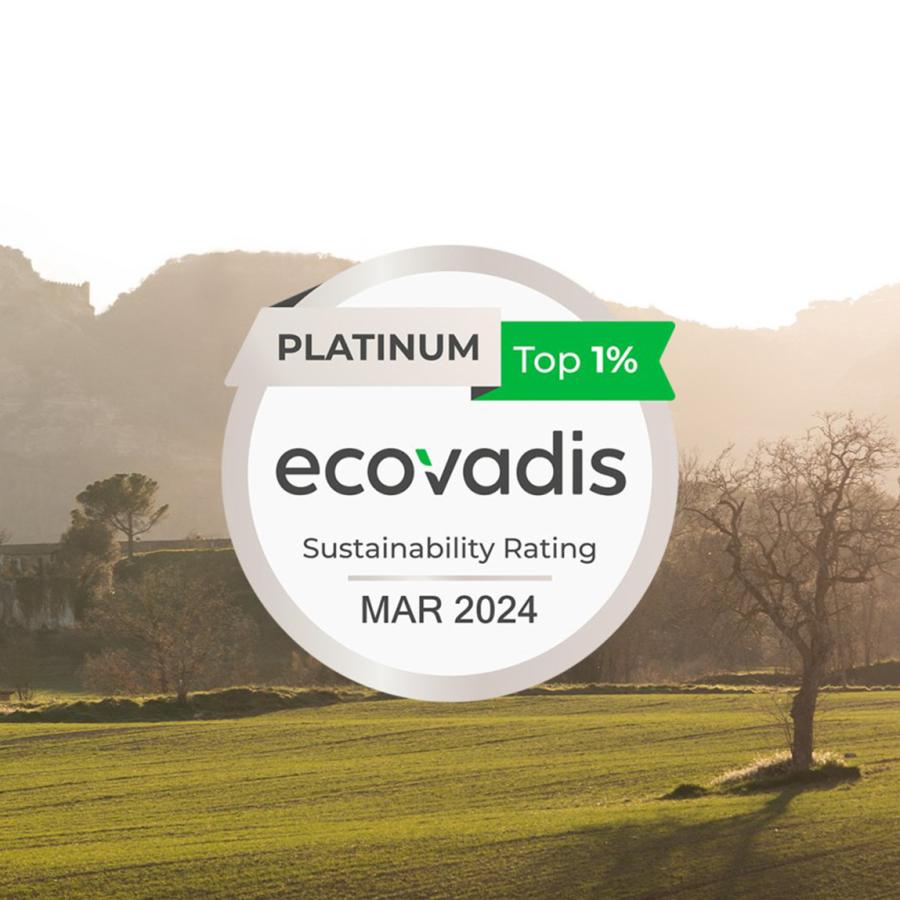 Hemos sido galardonados con la prestigiosa Medalla Platino de EcoVadis