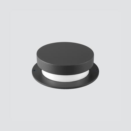 BOLET