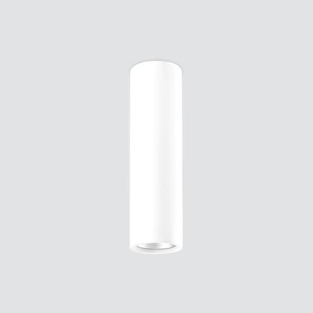 GOTA