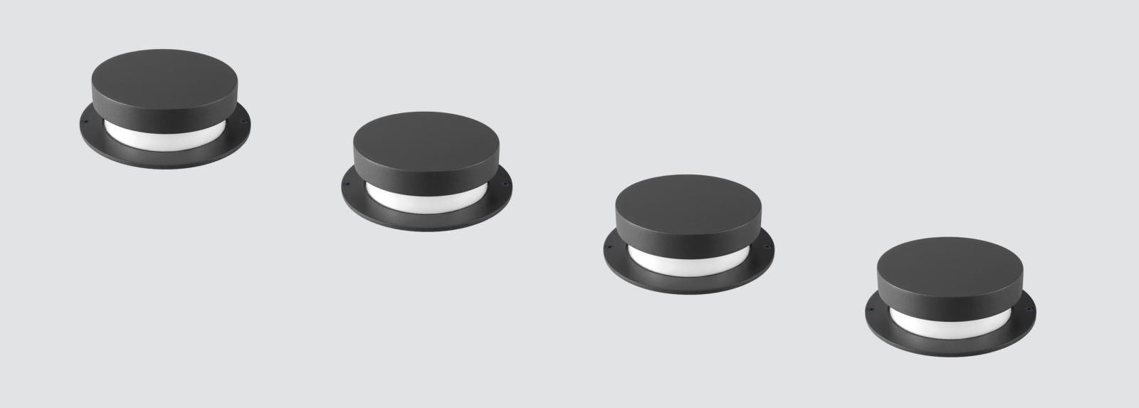 BOLET