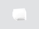IP65 IK07 Wall-mounted luminaire F101TMS