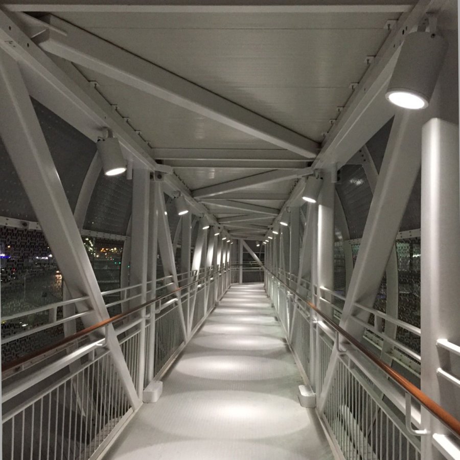 Puentes Peatonales