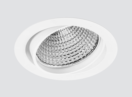 Adjustable recessed downlight F101DNM