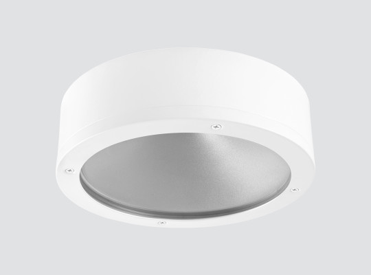 IP65 IK10 Surface-mounted downlight F101LNX IP65 IK10 Surface-mounted downlight F101LNX