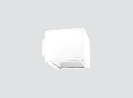 IP65 IK07 Wall-mounted luminaire F101TMS IP65 IK07 Wall-mounted luminaire F101TMS