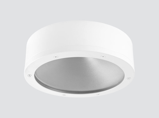 IP65 IK10 Surface-mounted downlight F102LNX IP65 IK10 Surface-mounted downlight F102LNX
