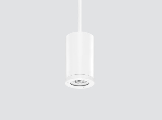 IP65 IK07 Pendant downlight F122CMT-123CMT