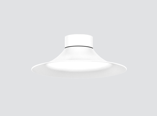 Surface-mounted downlight F310RGL Surface-mounted downlight F310RGL