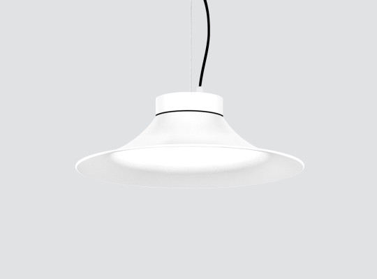 Pendant downlight retrofit F410RGL Pendant downlight retrofit F410RGL