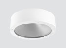 IP65 IK10 Surface-mounted downlight F101LNX IP65 IK10 Surface-mounted downlight F101LNX