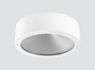 IP65 IK10 Surface-mounted downlight F102LNX IP65 IK10 Surface-mounted downlight F102LNX