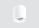 Surface-mounted adjustable donwlight F104GRB-107GRB