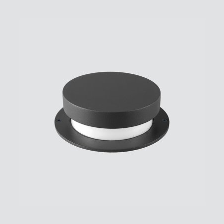 BOLET
