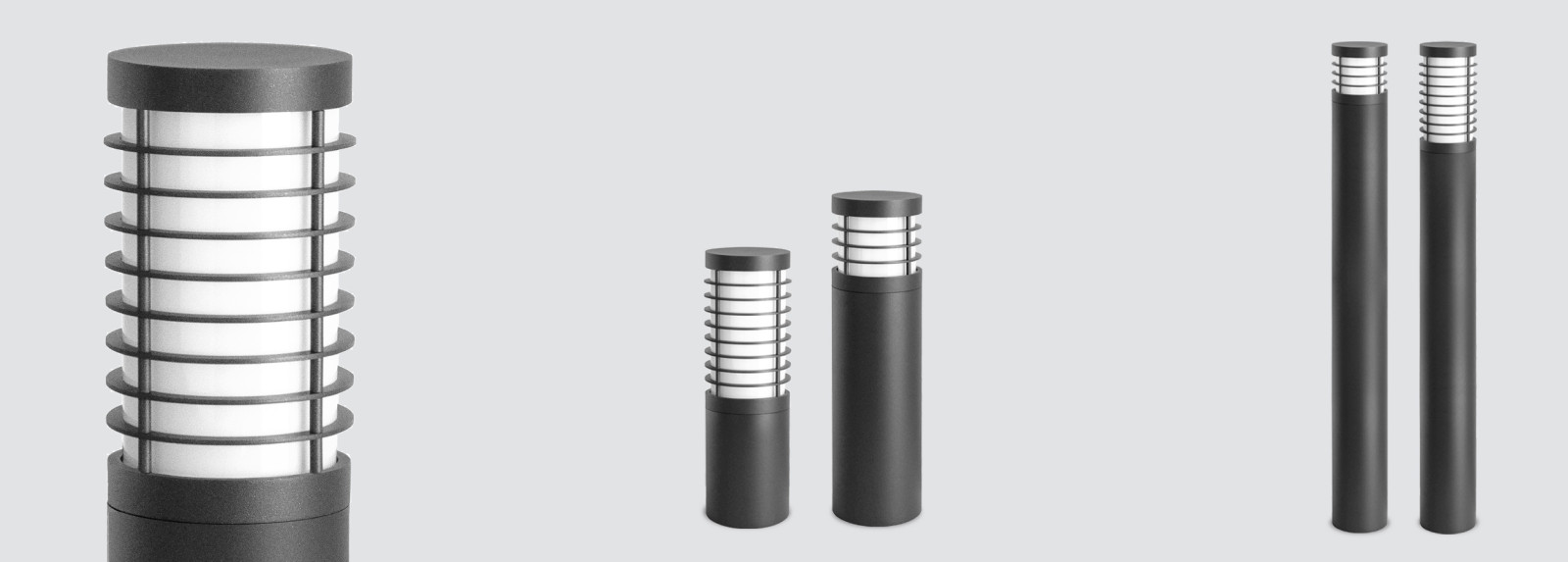 COLUTEA 100 COLUTEA 100