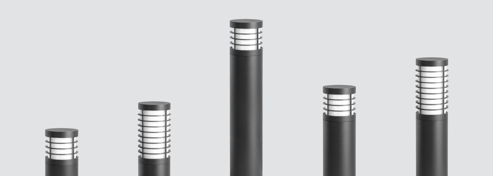 COLUTEA 100 COLUTEA 100