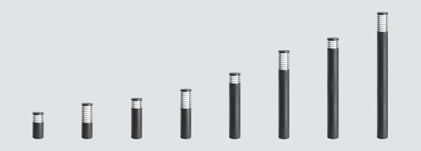 COLUTEA 100 COLUTEA 100