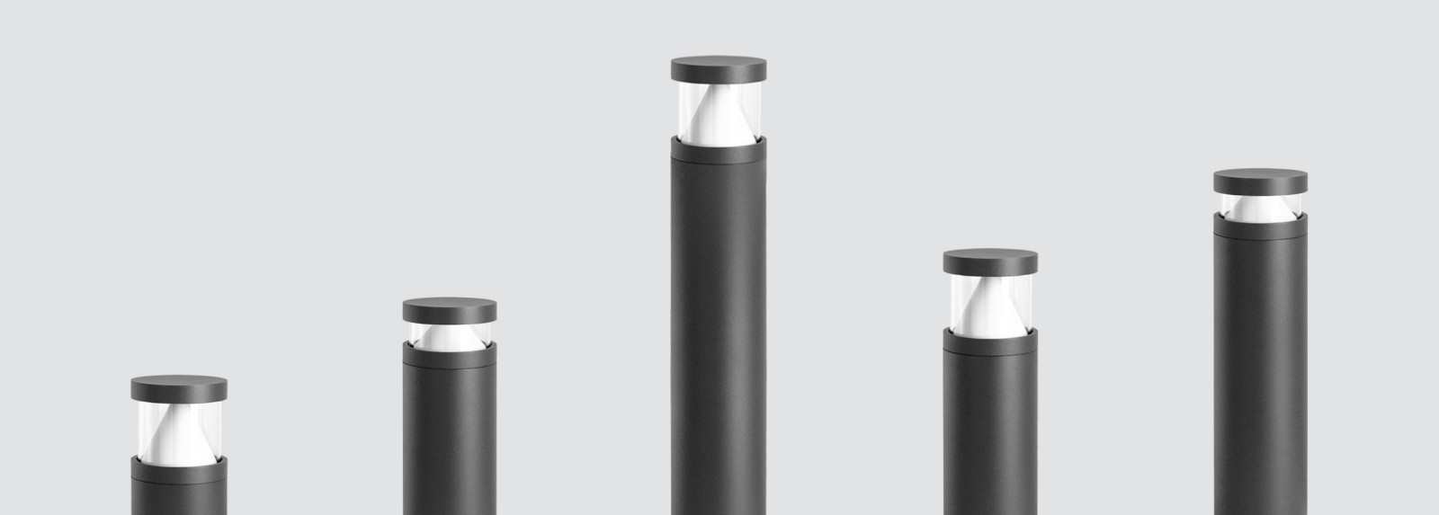 GENISTA 100