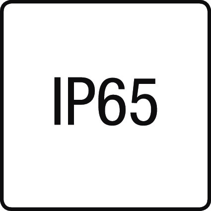 IP65